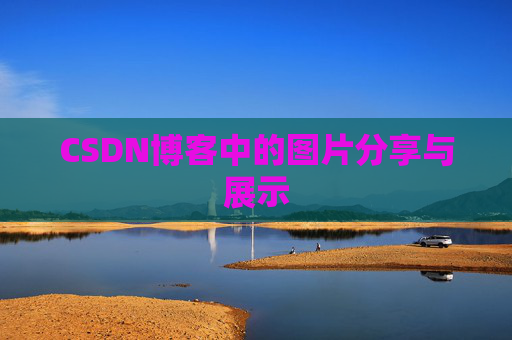 CSDN博客中的图片分享与展示